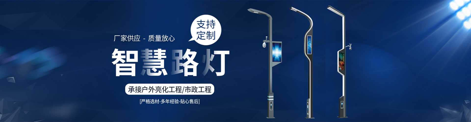 连云港市太阳能路灯定制厂家